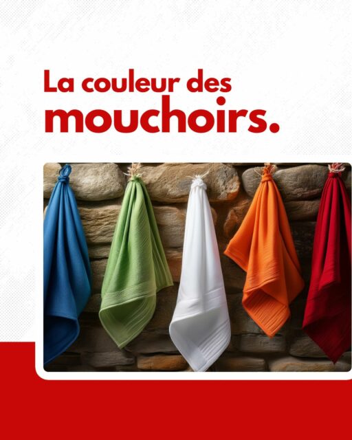 Les mouchoirs dans la corrida : bien plus que des symboles, ce sont des outils essentiels pour orchestrer le déroulement du spectacle.
Chaque couleur a une signification précise, du blanc pour changer de tiers ou récompenser le matador, au vert pour changer un toro invalide ou au bleu pour honorer un toro aux qualités remarquables.
Découvrez la signification de chaque mouchoir ! ⚪🔵🟢🟠🔴
—
#Corrida #Tauromachie #Tradition #ArtTaurin #CultureEspagnole #Bravoure #Mouchoirs #spectacle
