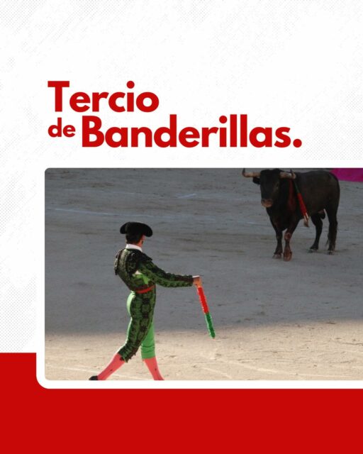 Dans le tercio de banderillas, chaque banderillero dévoile la charge du toro aux moyens de sa bravoure et de son agilité 🤸
Des paires de banderilles sont posées pour analyser la nature de la charge du toro, ajoutant une tension palpable dans l’arène. C’est un moment de précision où chaque geste compte, de l’appel à la pose, avec des variantes spectaculaires qui captivent le public.
Un art en mouvement, où chaque détail a son importance. 🎯
—
#Toros #TercioDeBanderillas #Corrida #Tauromachie #Tradition #ArtTauromachique #Banderillero #Culture #Courage #Espagne #Lidia