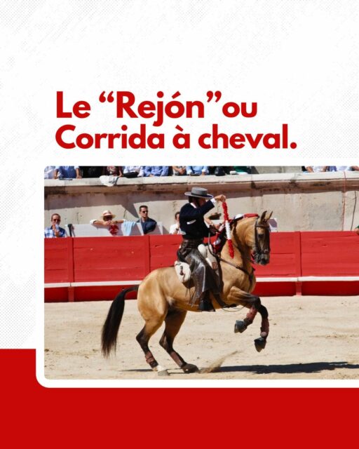 🐴 La corrida de rejones, un spectacle unique où le matador, ou plutôt le “rejoneador”, affronte le toro à cheval. Cavalier et monture ne font qu’un pour toréer au plus près, offrant un ballet impressionnant de courage et de maîtrise. 😯 Chaque “tercio” se déroule dans une harmonie parfaite entre l’homme, le cheval, et le toro, un hommage à une pratique empreinte de noblesse et d’histoire.
—
#Rejones #Corrida #Tauromachie #ArtTaurin #Tradition #Équitation #CultureEspagnole #Spectacle #Bravoure #emotion