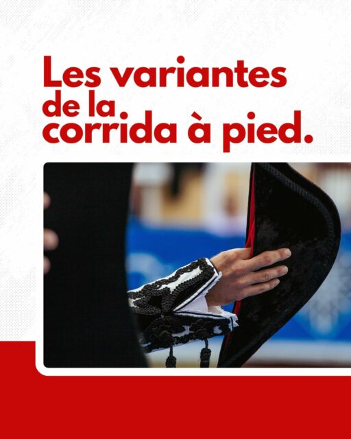 Corrida : Variantes et Hommages
Les corridas se déclinent en plusieurs variantes. Dans un mano a mano, deux matadors s’affrontent.
Une encerrona voit un seul matador affronter les six toros.
Les corridas mixtes mêlent un rejoneador à cheval et des matadors à pied.
Les festivals taurins sont l’occasion de rassembler jeunes et moins jeunes matadors autour d’une cause.
Les corridas concours mettent en compétition six élevages différents.
Les corridas hommage rendent, quant à elles, hommage à des artistes comme Goya ou Picasso, en intégrant leurs styles à la scénographie et aux costumes.
Bouge pas, on t’explique tout 🫶🏻
Crédit photo slide 5 : © @alexandre_blanco 📸❤️
Crédit photo couverture : © @sorbetanthony 📸❤️
-
#Paseo #Corrida #Tauromachie #CultureTaurine #Toreros #Cartel #Corrida #Tauromachie #Feria #Toreros #Tauromachie #Corrida #CultureTaurine #Aficion #ToroBravo #Matador #ArtTauromachique #PassionTaurine #spectaclevivant