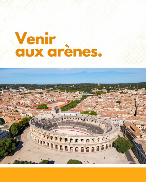 Prêts à vivre l’ambiance unique des arènes ?
Dans cette section, nous vous offrons tous les conseils nécessaires pour vous immerger dans cet univers riche en expériences.
Que vous soyez novice ou simplement curieux, découvrez comment vous préparer au mieux pour assister à une corrida. Des anecdotes sur les arènes les plus célèbres en France et en Navarre, aux accessoires indispensables et aux astuces pour réserver vos places, nous vous guidons pas à pas.
Vous apprendrez aussi comment explorer la corrida au-delà des arènes traditionnelles, que ce soit à travers d’autres lieux emblématiques ou via les différents médias qui lui donnent vie. Tout ce qu’il faut savoir pour profiter pleinement de votre première expérience, en tant que spectateur averti.😉
-
#Arènes #CultureTaurine #ConseilsPratiques #PassionTauromachique #VenirAuxArènes #ToroEtCampo #TraducteurTaurin #CorridaModeDemploi #VieDesToros #CultureEspagnole #TraditionEspagnole #HistoireTauromachique #PatrimoineCulturel #Feria