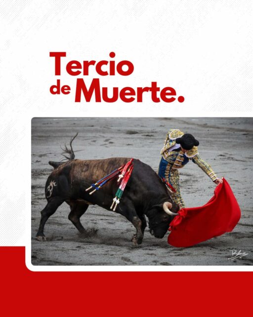 Le tercio de mort est l’apogée de la corrida, où le matador affronte le toro avec la muleta pour une faena intense, avant la mise à mort. 🐂🎺
Un moment de courage et d’inspiration, où chaque geste, chaque passe, est une œuvre d’art éphémère. Du brindis, jusqu’au coup final, le matador s’engage et s’expose pour transmettre l’émotion la plus pure. Si le toro est exceptionnel, il peut même être gracié.
Un spectacle où tradition et émotion se rencontrent.
©️copyright 📸 : @alexandre_blanco
—
#Paseo #Corrida #Tauromachie #CultureTaurine #Toreros #Cartel #Corrida #Tauromachie #Feria #Toreros #Tauromachie #Corrida #CultureTaurine #Aficion #ToroBravo #Matador #ArtTauromachique #PassionTaurine #spectaclevivant