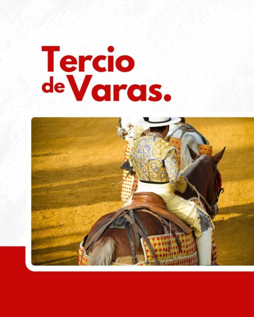 Le Tercio de Varas (ou tercio de piques) :
le test de Bravoure du Toro 🐂🎺
Place au tercio de varas, un moment crucial de la corrida qui teste la bravoure du toro !!
Les picadors, montés sur leurs chevaux protégés, attendent le toro, positionné par le matador au centre de la piste. Le défi pour le toro est de charger le cheval, en recevant de 2 à 3 piques. Cette étape détermine sa bravoure selon sa réaction face à la pique.
Ce tercio n’est pas seulement un test de force, mais révèle le tempérament et la bravoure du toro, qualités recherchées par les aficionados.
On vous explique 🤩
—
#Paseo #Corrida #Tauromachie #CultureTaurine #Toreros #Cartel #Corrida #Tauromachie #Feria #Toreros #Tauromachie #Corrida #CultureTaurine #Aficion #ToroBravo #Matador #ArtTauromachique #PassionTaurine #SpectacleVivant